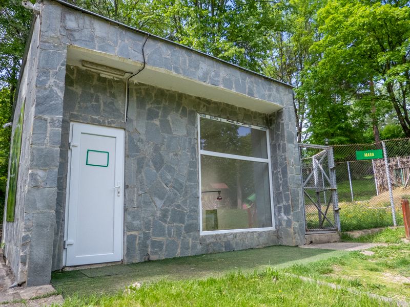 enclosure of Patagonian mara