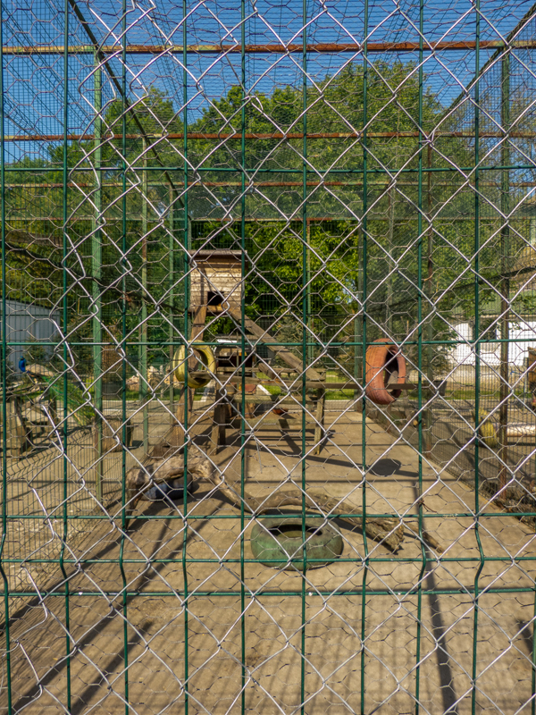 enclosure of peafowl #1