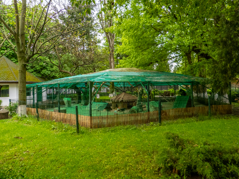 enclosure of peafowl #2