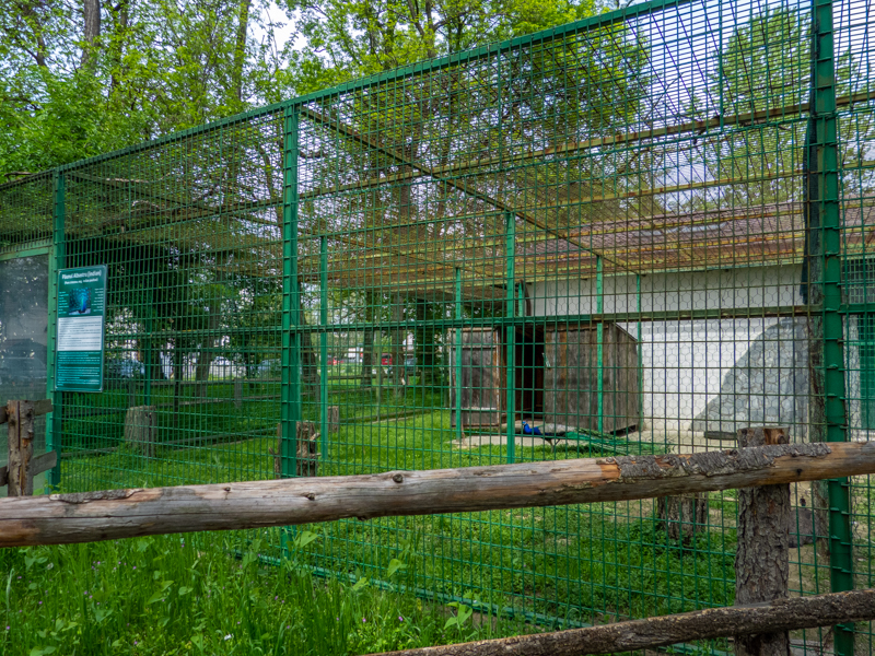 enclosure of peafowl