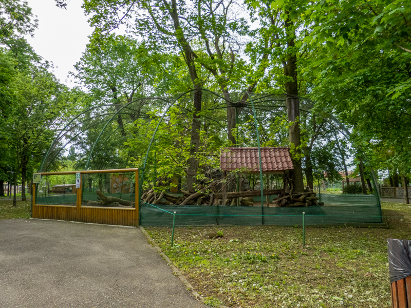 enclosure of peafowl