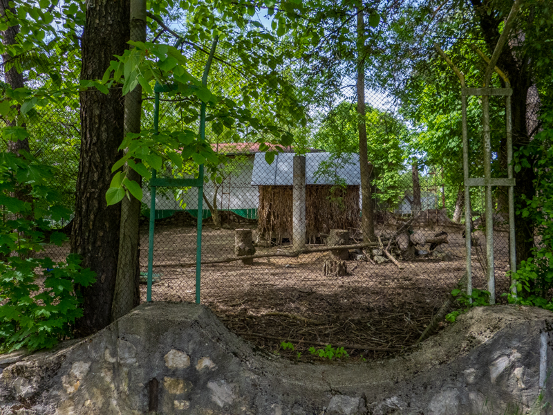 enclosure of peafowl
