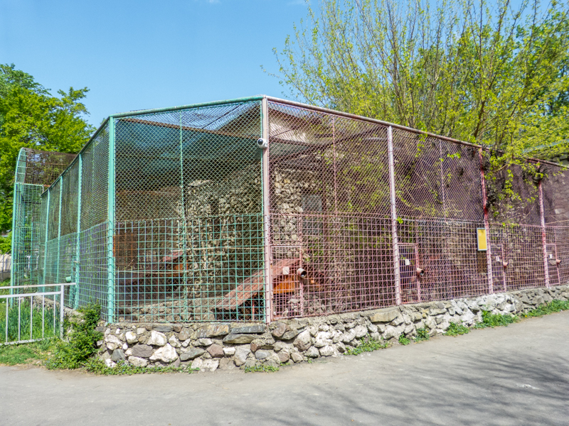 enclosure of pheasant and chicken