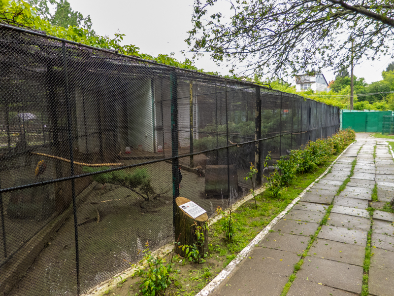 enclosure of pheasantry #2