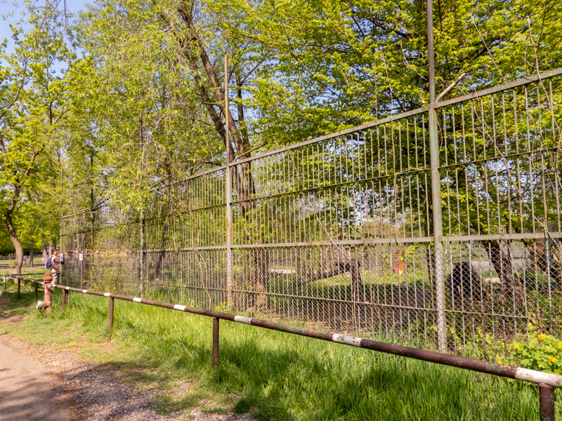 enclosure of polar wolf