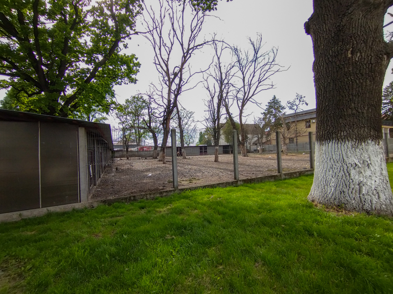 enclosure of ponies and deers