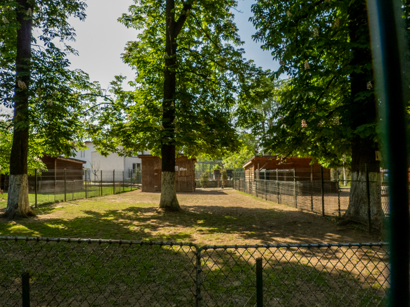 enclosure of ponies
