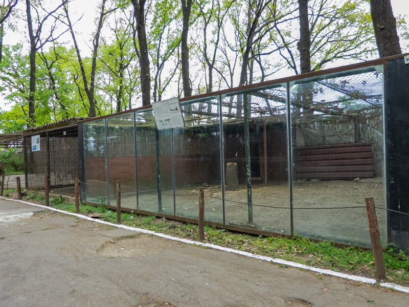 enclosure of porcupine