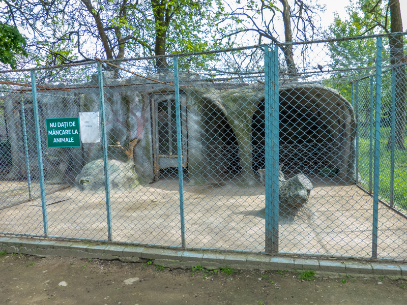 enclosure of porcupine