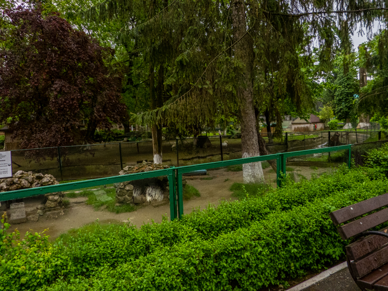 enclosure of porcupine