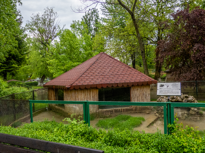 enclosure of porcupine