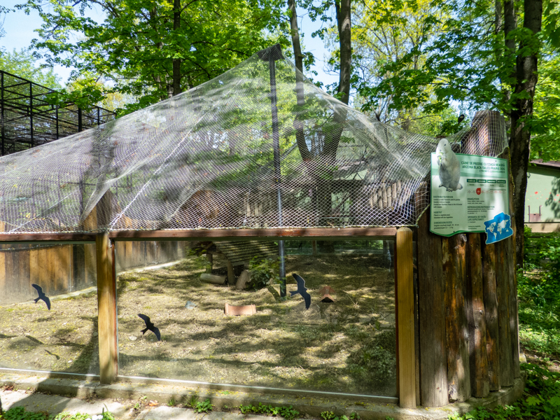 enclosure of prairie dog