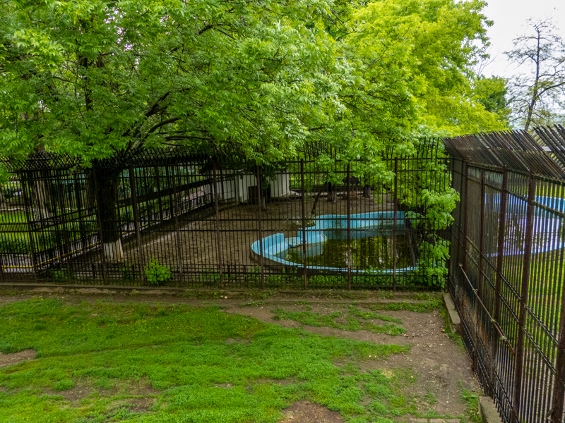 enclosure of pygmy hippopotamus