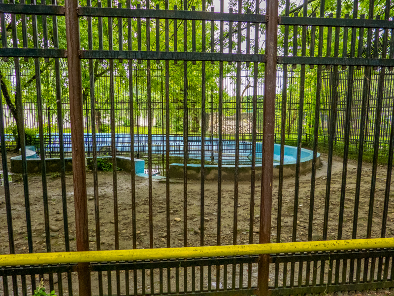 enclosure of pygmy hippopotamus