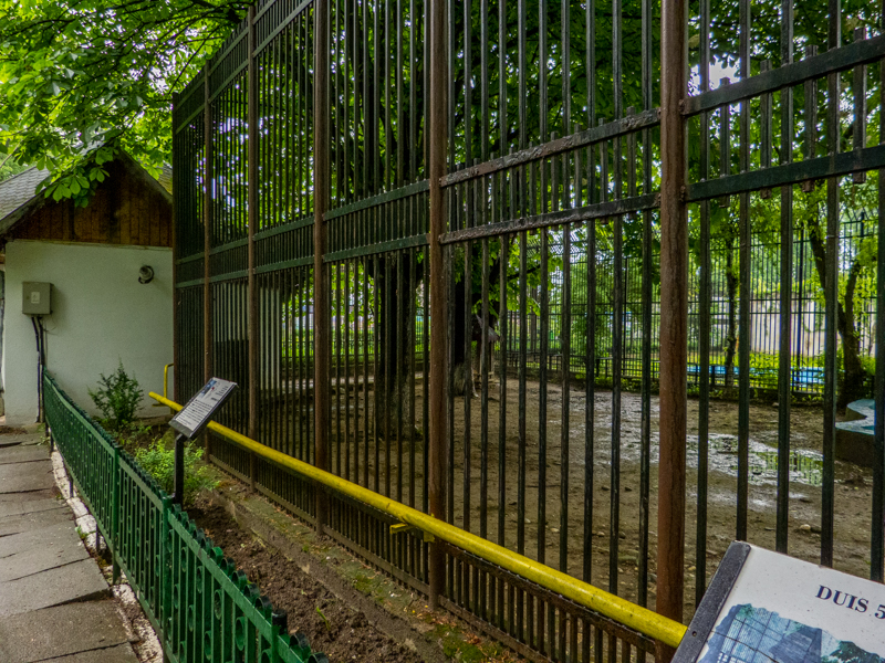 enclosure of pygmy hippopotamus