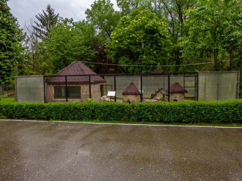 enclosure of rabbits