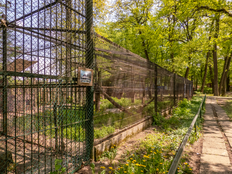 enclosure of raccoon and coatis
