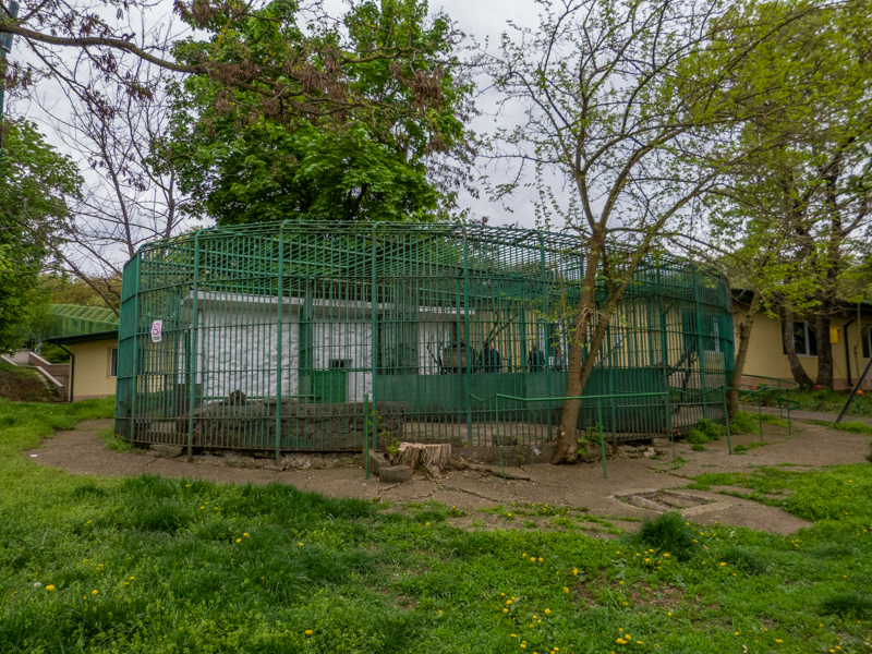 enclosure of raccoon