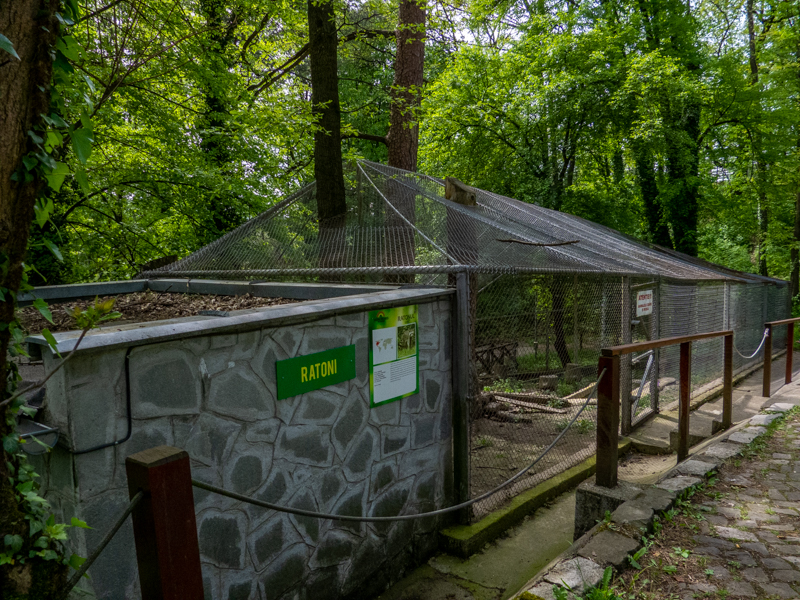 enclosure of raccoon