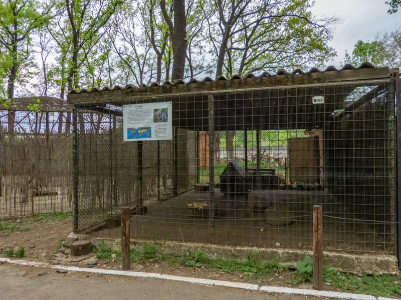 enclosure of raccoons No2