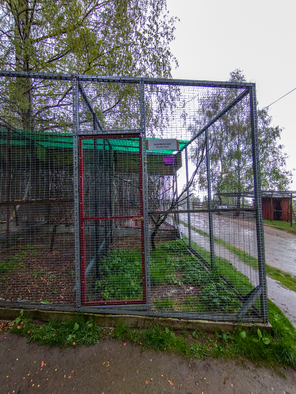enclosure of raptors