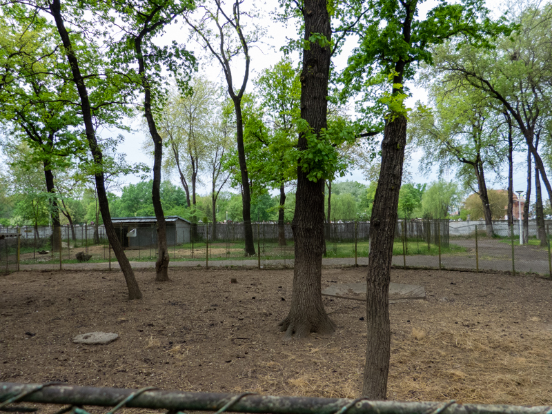 enclosure of Red deer