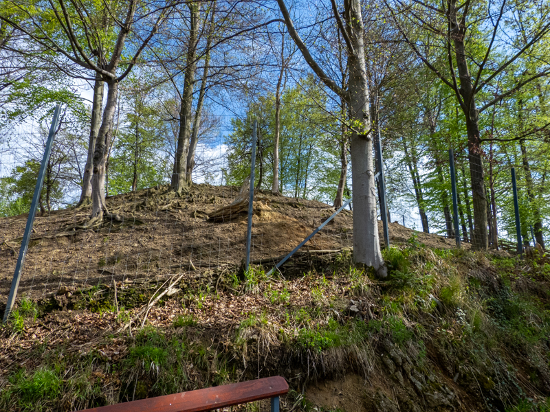 enclosure of red deer