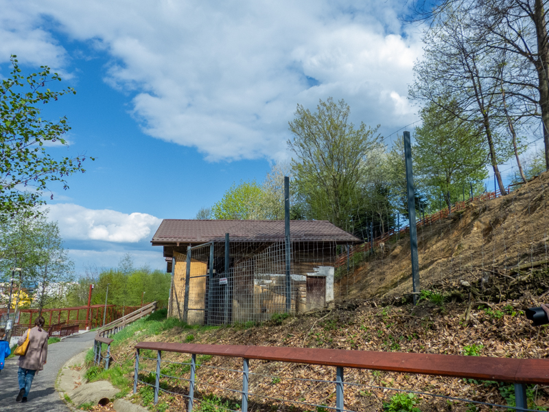 enclosure of red deer
