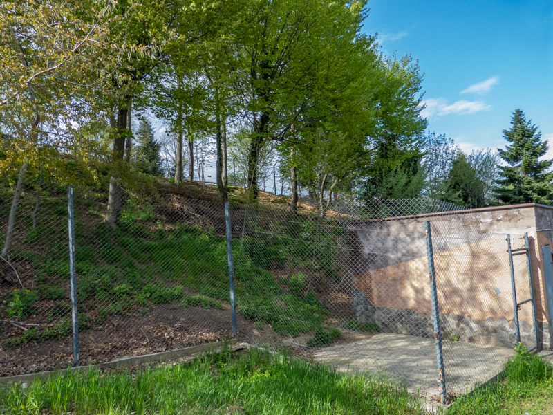 enclosure of red fox