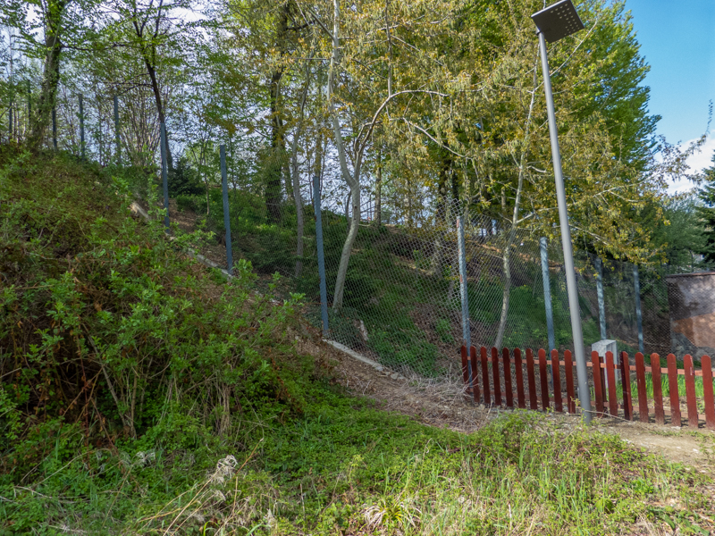 enclosure of red fox