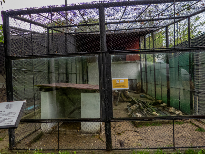 enclosure of red fox