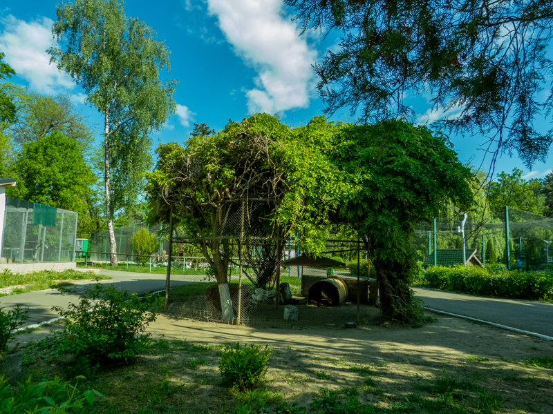 enclosure of red-legged seriema