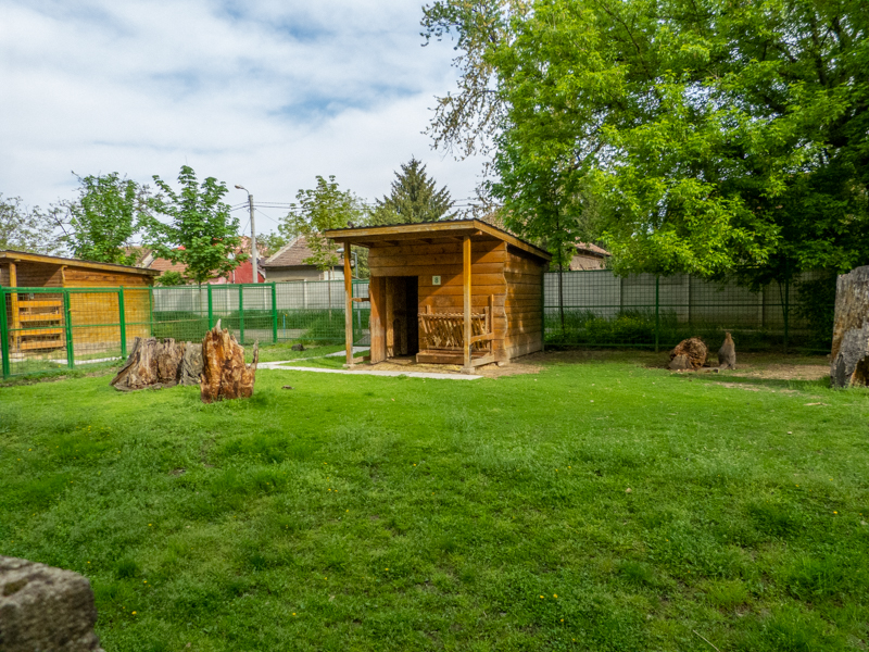 enclosure of red-necked wallaby
