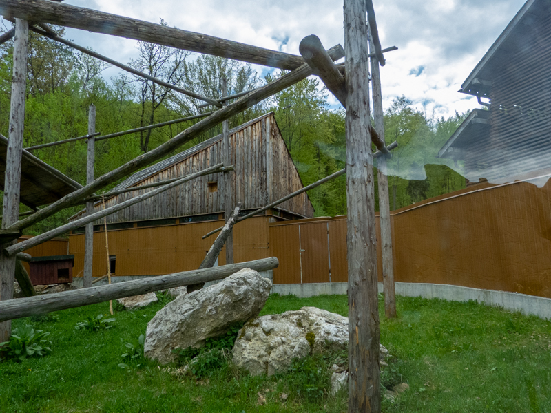 enclosure of red panda