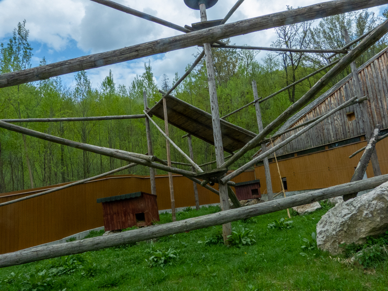 enclosure of red panda