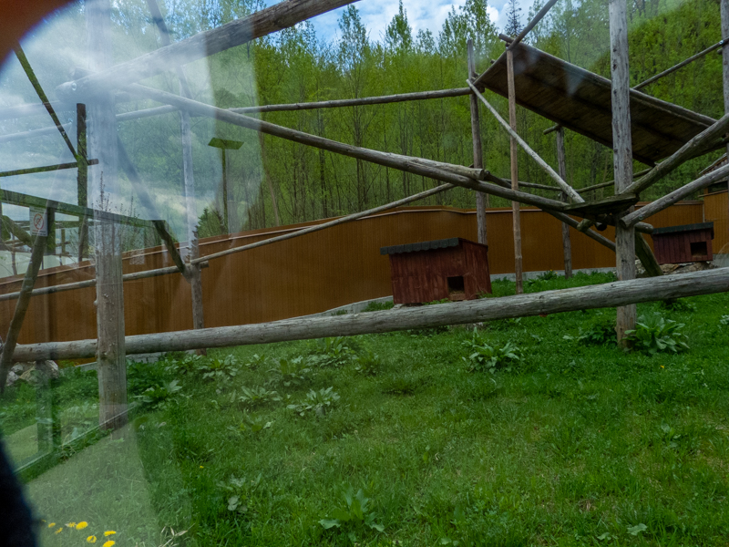 enclosure of red panda