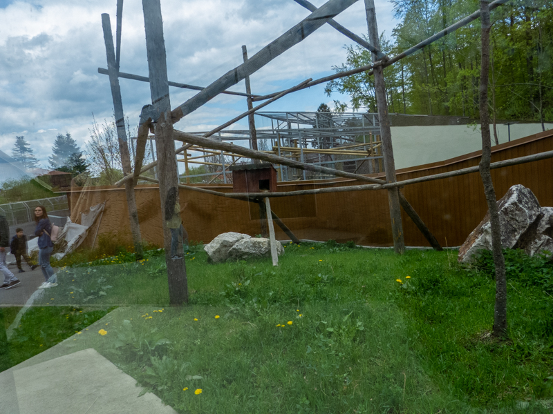 enclosure of red panda