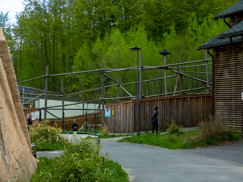 enclosure of red panda