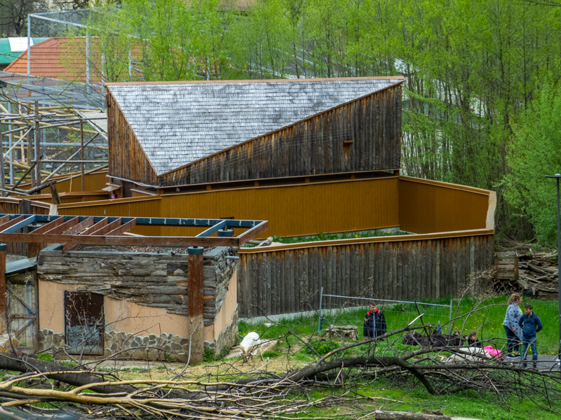 enclosure of red panda