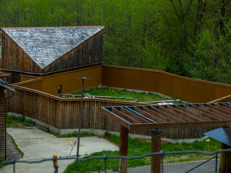 enclosure of red panda