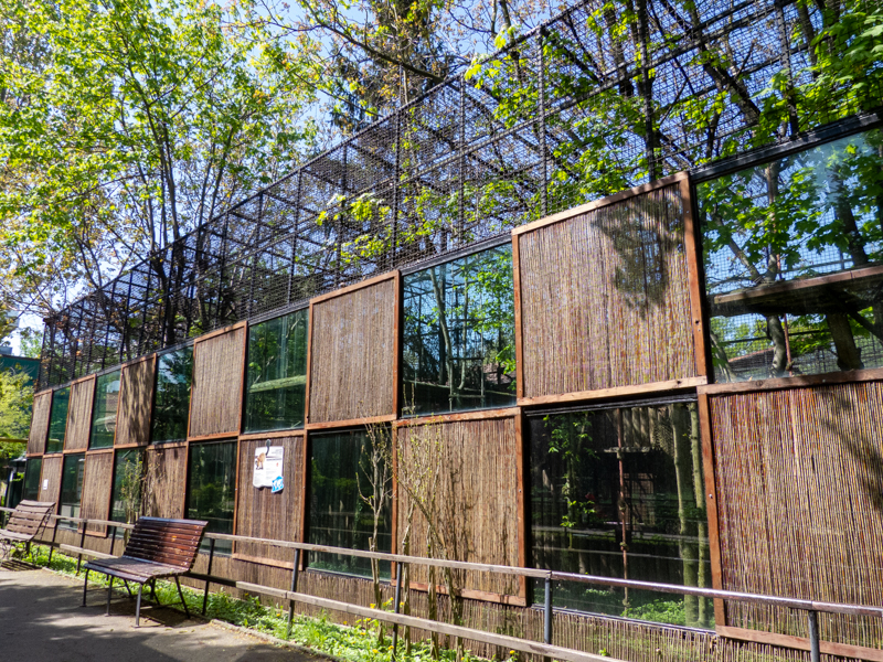 enclosure of red ruffed lemur