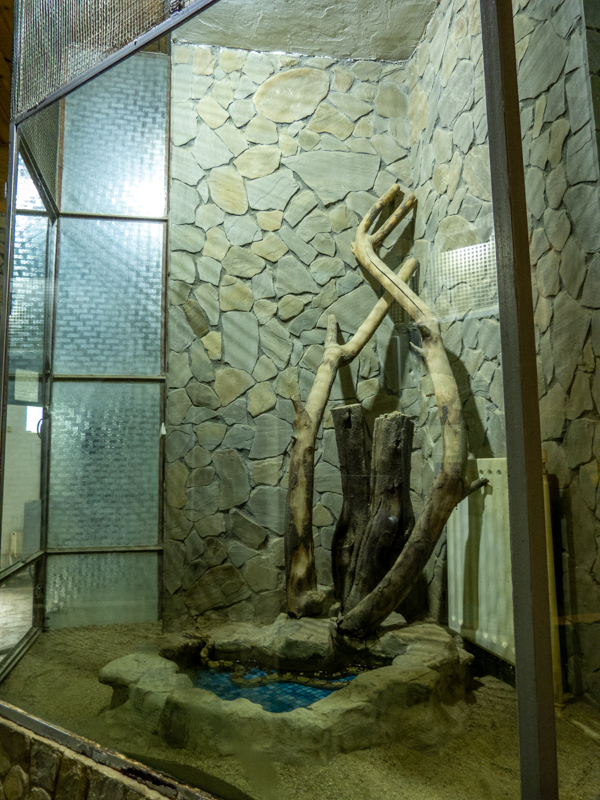 enclosure of red-tailed boa