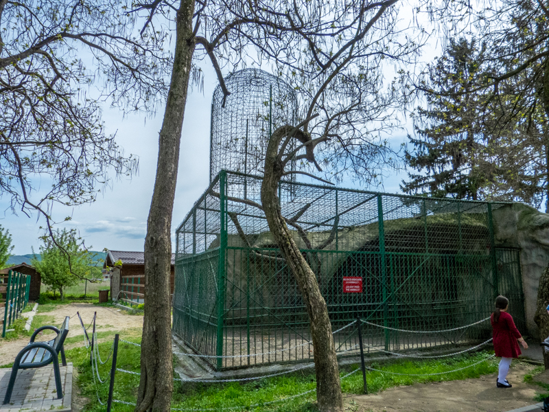 enclosure of rhesus macaque