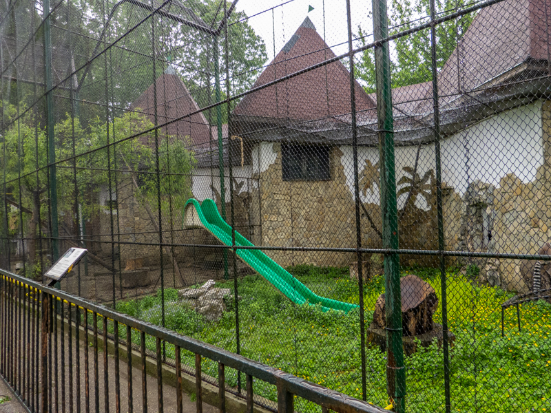 enclosure of ring-tailed lemur