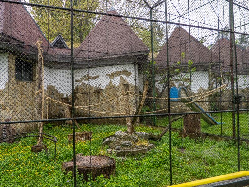 enclosure of ring-tailed lemur