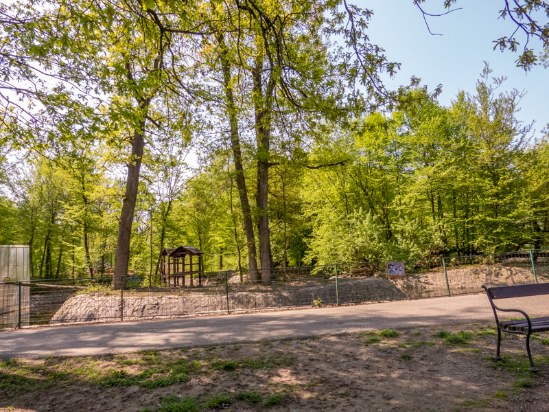 enclosure of ring-tailed lemur