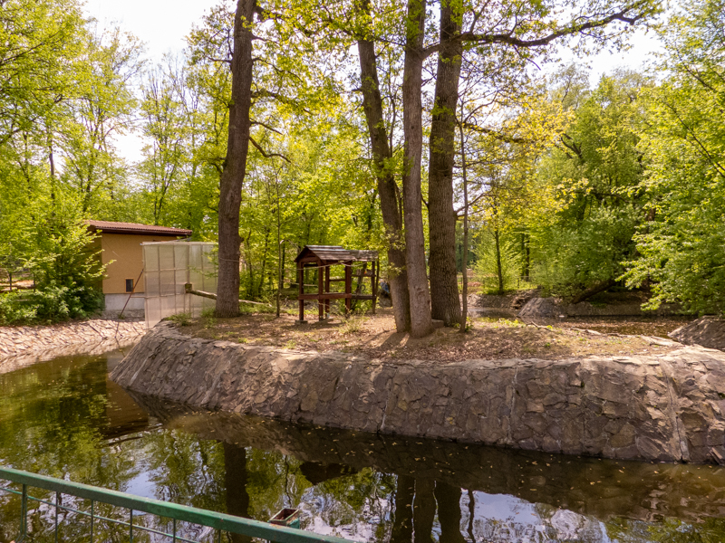 enclosure of ring-tailed lemur