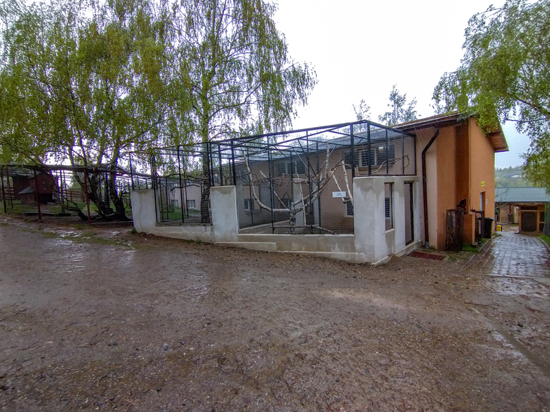 enclosure of ring-tailed lemurs