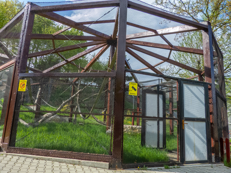enclosure of ring-tailed lemurs
