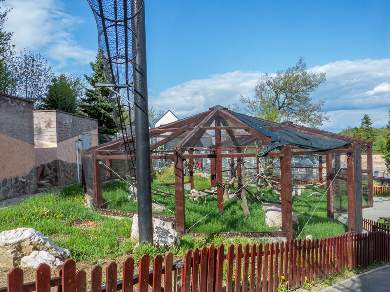 enclosure of ring-tailed lemurs